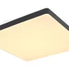 Globo Lighting Globo RAINA 48296B Deckenleuchte Metall Weiß, LED 2
